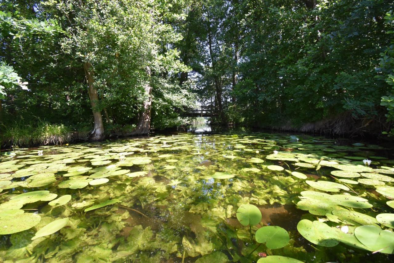 Ferienhaus-See-Sauna-Kamin-Hund Mit E-Ladestation Krakow am See Exteriér fotografie
